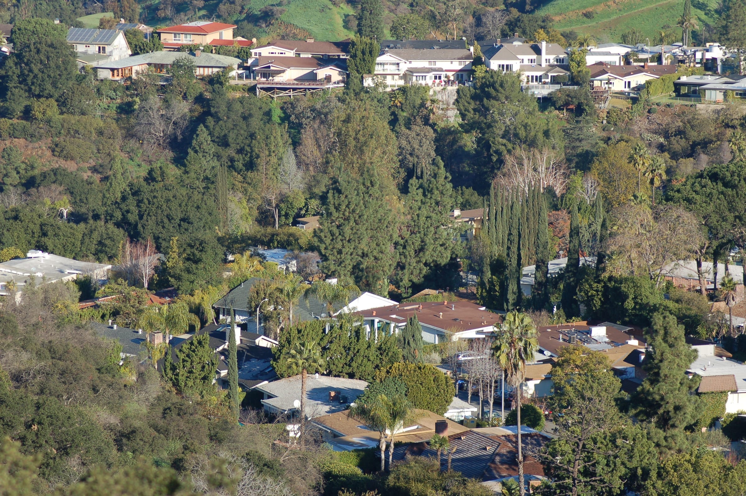 Present-day view over the hillside homes and greenery of Laurelwood in Studio City.