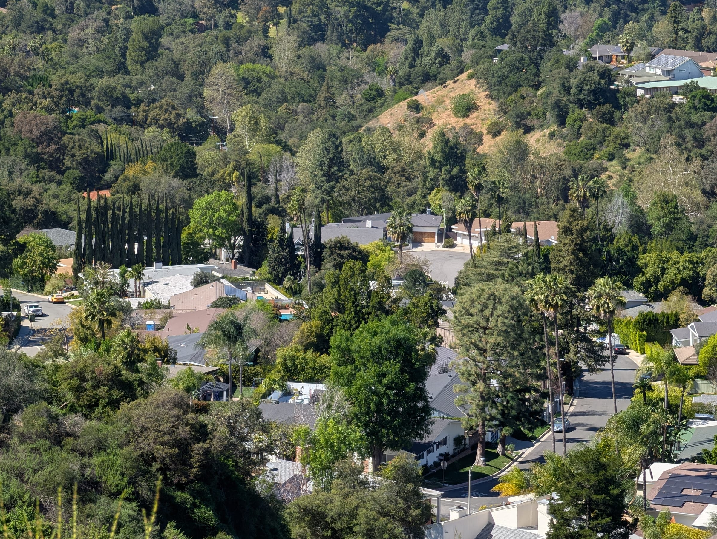 West Laurelwood neighborhood photo 2